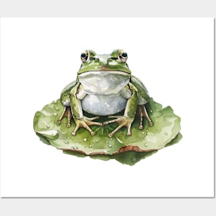 Wonderful frog! Posters and Art